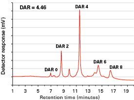 Analysis of Antibody-Drug Conjugate (ADC) Mimic